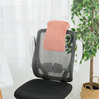 Multi Position Travel Pillow